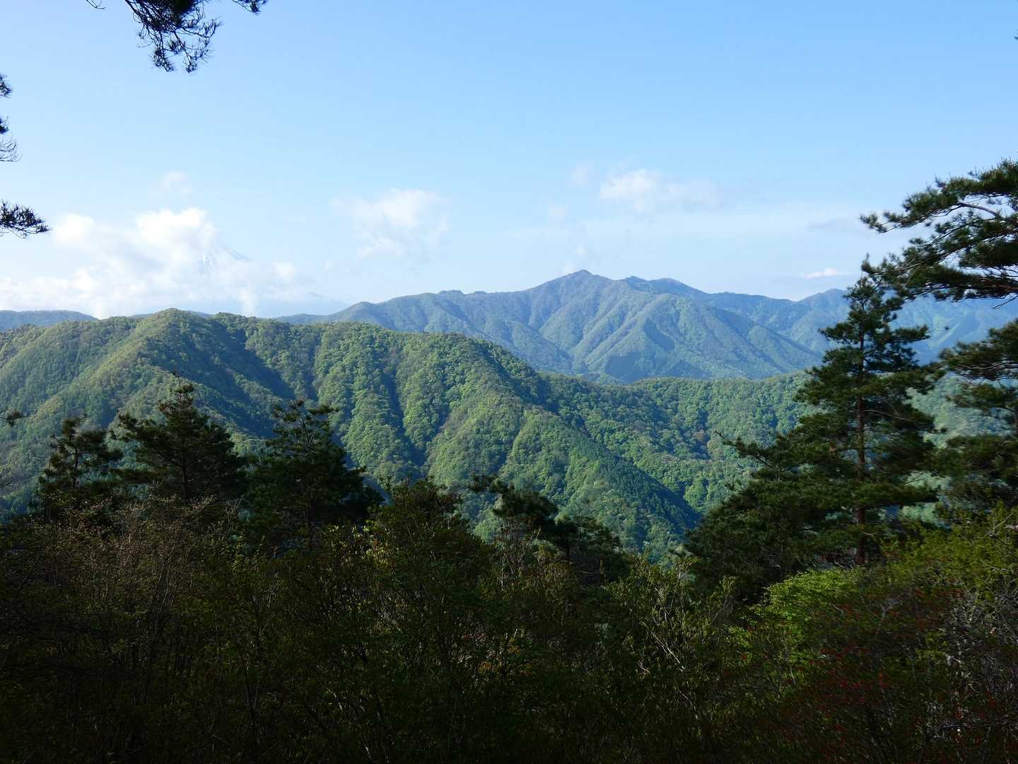 富士山が雲に隠れて残念と思いきや