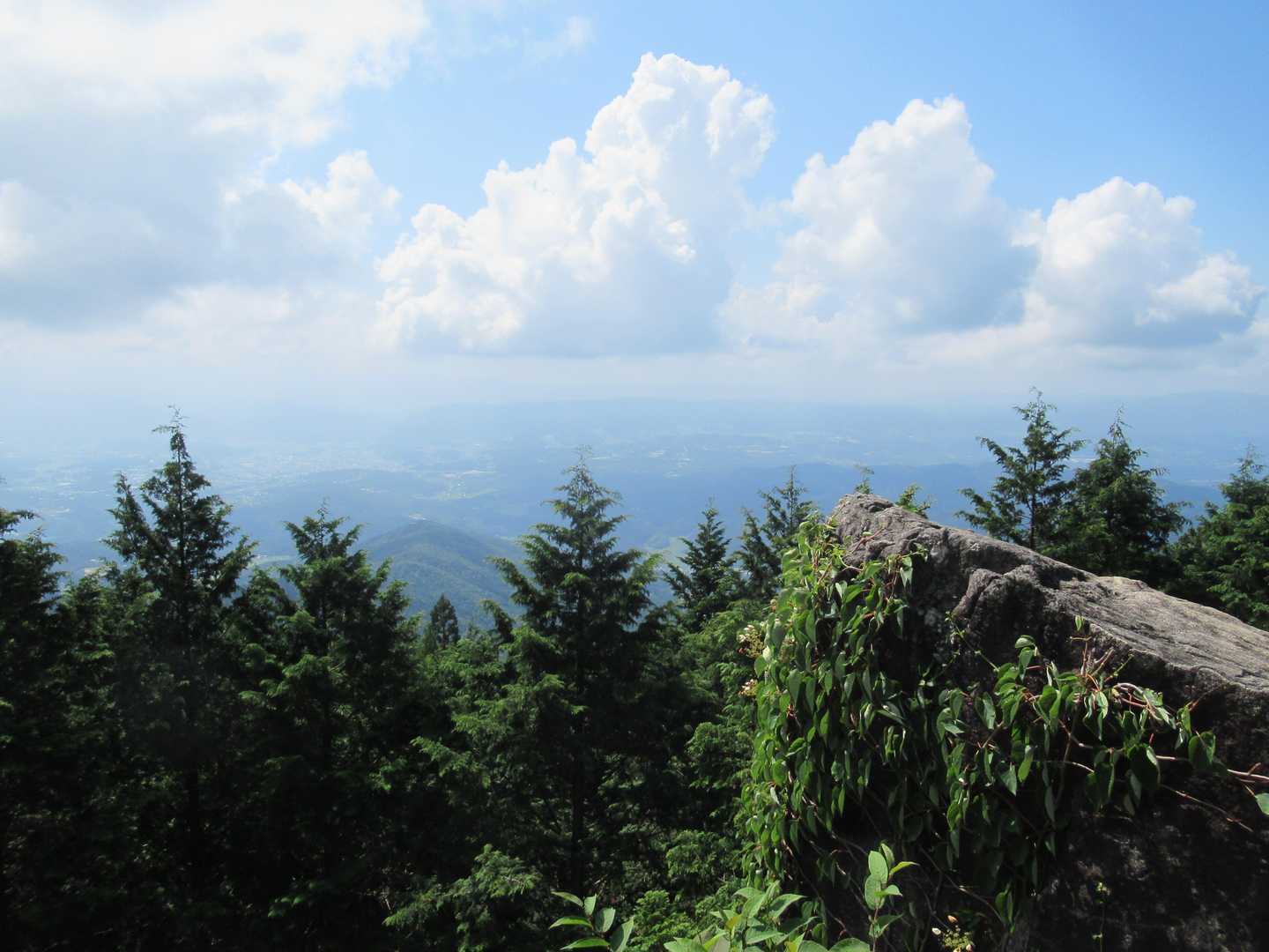 笠置山 往復コースの写真