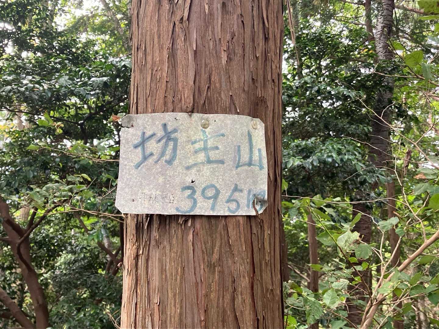 坊主山🙌