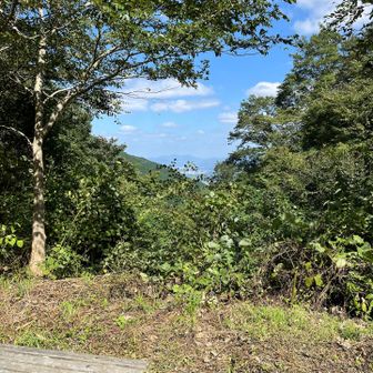 金剛山への登りのお決まりの見晴らし