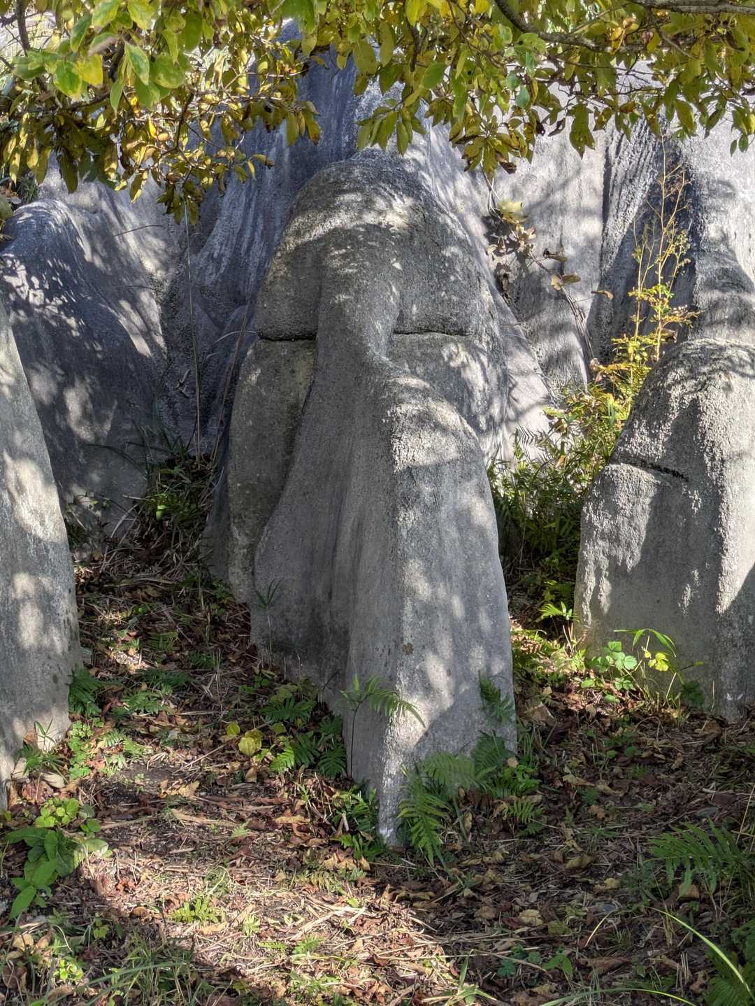 象の鼻を持った人の顔に見えました。(⁠ー⁠_⁠ー⁠)