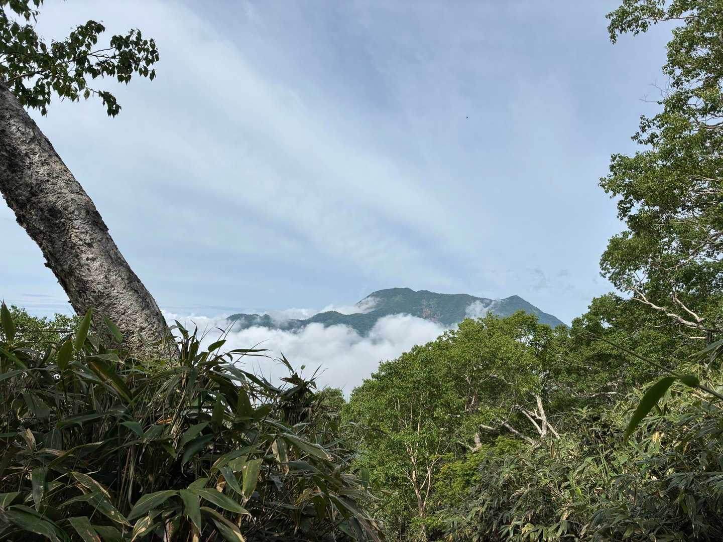 高妻山が見えた時は
感動ものでした✨
