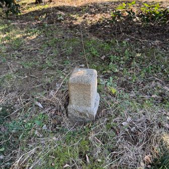 高山の三角点。