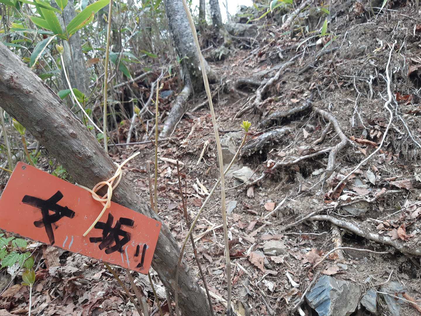 下りは女坂（り）で