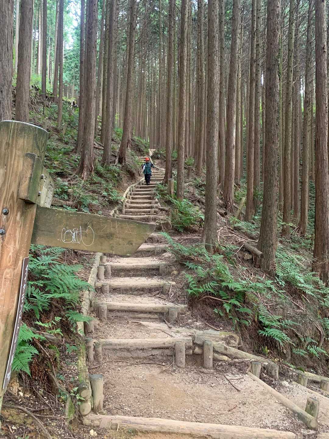 下山時は安全な整備された階段が続く

母も「登りはアドベンチャー盛りだくさんで楽しかったし、帰りは階段で危なくないとってもいいルート✨😄」と気に入ってくれた様子