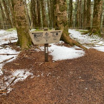 ダケモミの丘まで登って
きましたが…
道にも積雪❄️はほとんどない💧😓