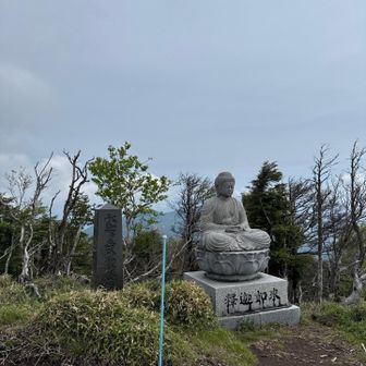 釈迦如来にお参り🙏