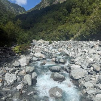 水の量も戻ってきてる