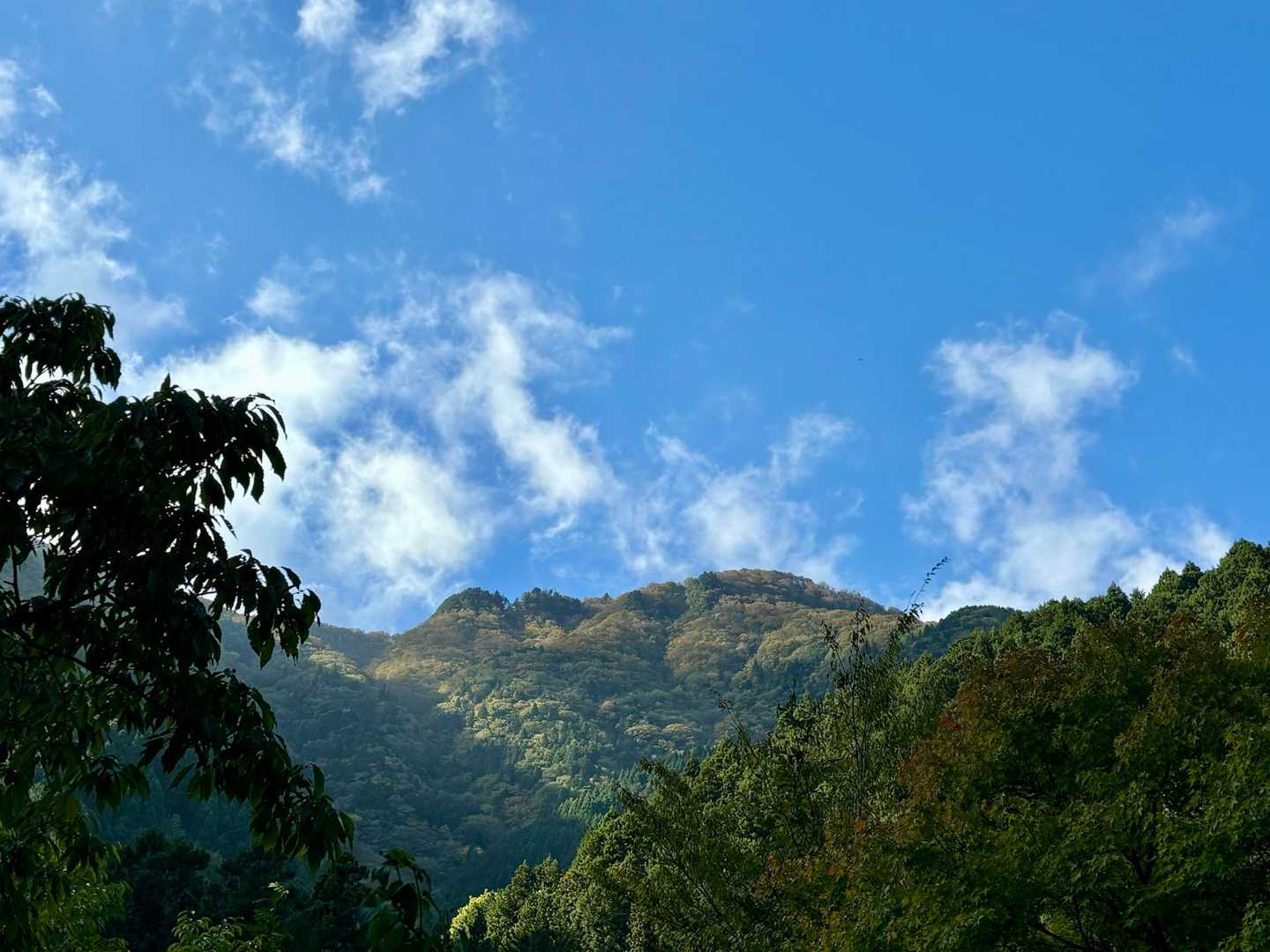 紅葉した山頂にテンション上がります✨
天気も良いしドキドキが止まりません