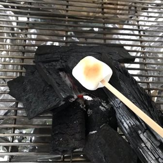 ちゃぼーず