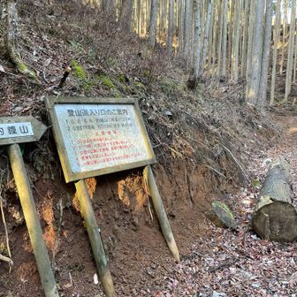 登山口
矢印方向の作業道路に導かれますが、ここから真上に上がるのが正解です。