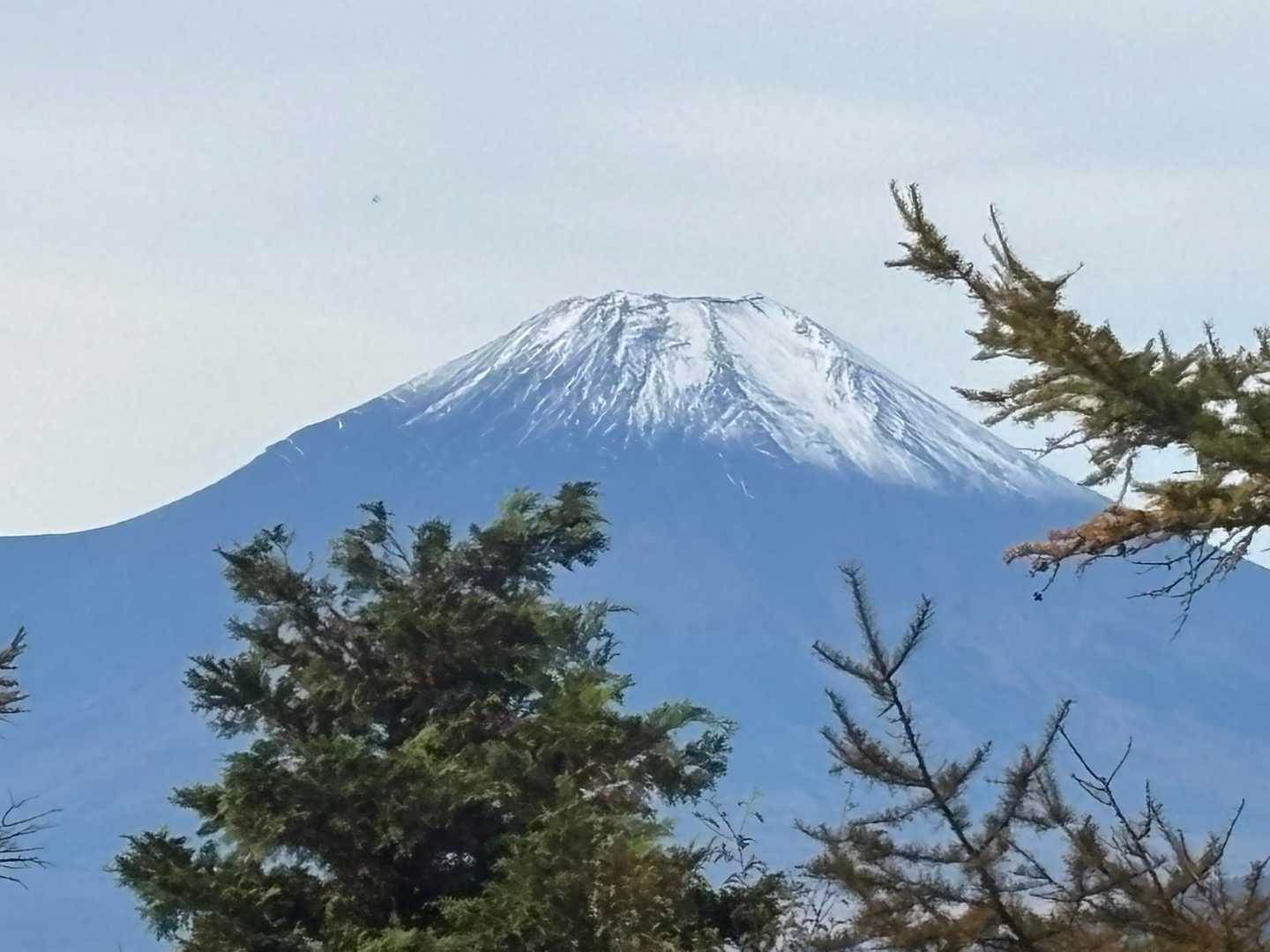 釜立林道（青根）-姫次-蛭ヶ岳 往復コースの写真