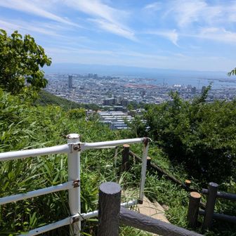 この手前で〜調子こいて走りながら、スマホしまってたら〜🤸
うぎゃぁ〜のわぁ〜左胸横強打🫨
靴まで引っ掛かって脱げたのに、誰も見てないことをええことに、そういう時って素知らぬ顔で〜半靴でヨタヨタ🫈
うぎゃぁ〜すぅ〜ちゅうやつ🤣