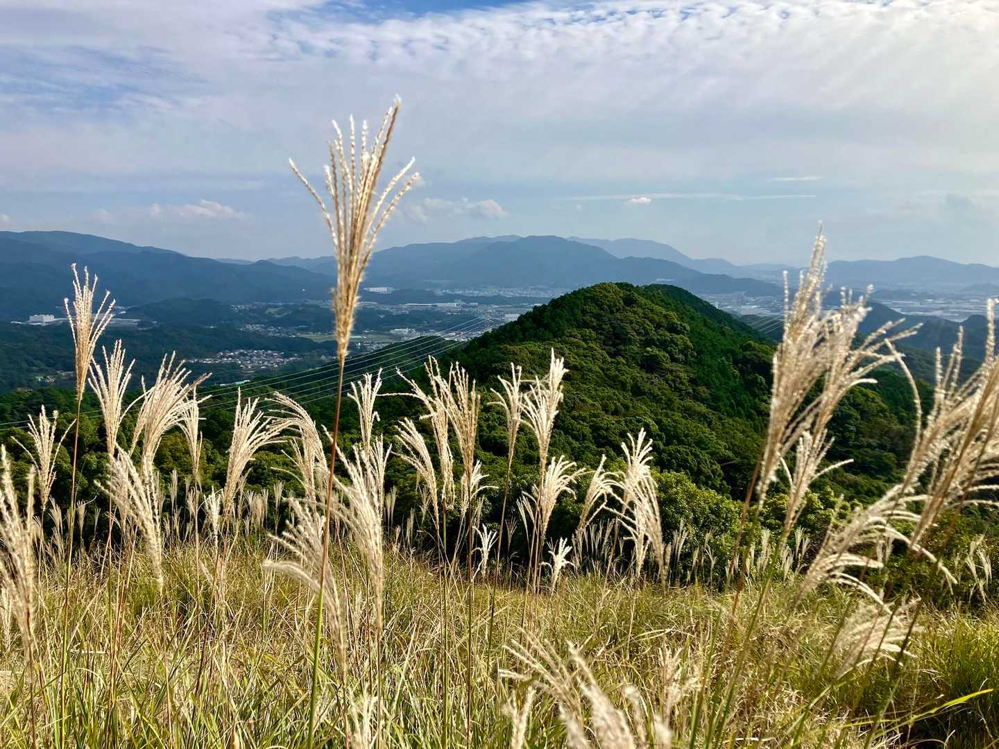 三日月山-立花山 往復コースの写真