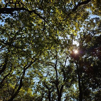 眺望もないので空なんかを撮ってみたりしてから、次の西山へ。