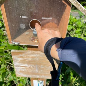 カウンター、ポチっと164
登山者も押してるよね