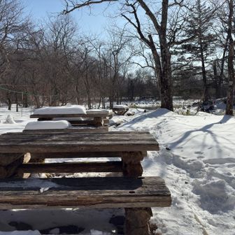 泉門池のベンチで早めの昼メシ。おにぎりにカップヌードル、パンと炭水化物のみ。