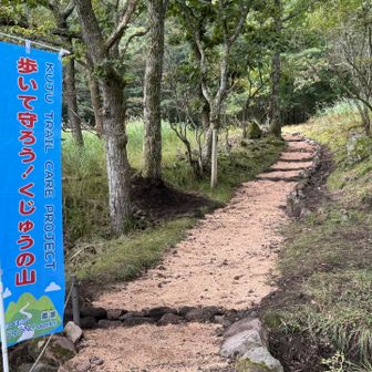 綺麗に整備されるとこのようになります！