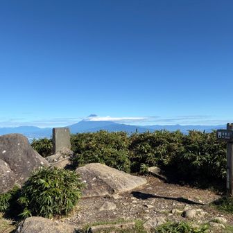 達磨山山頂