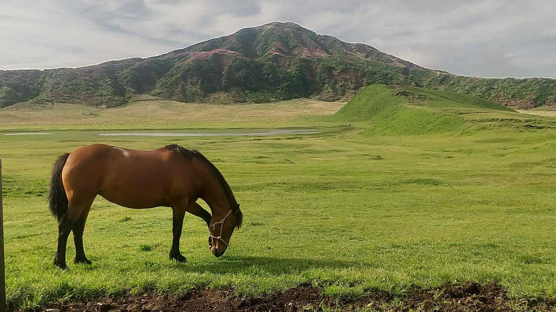 草千里登山口-烏帽子岳 周回コースの写真