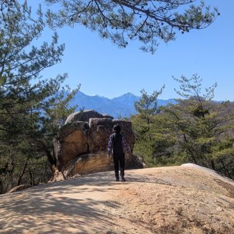 (゜o゜; 隊長は
びっくり眺望にご満悦

次のお楽しみがあるので下ります🥾