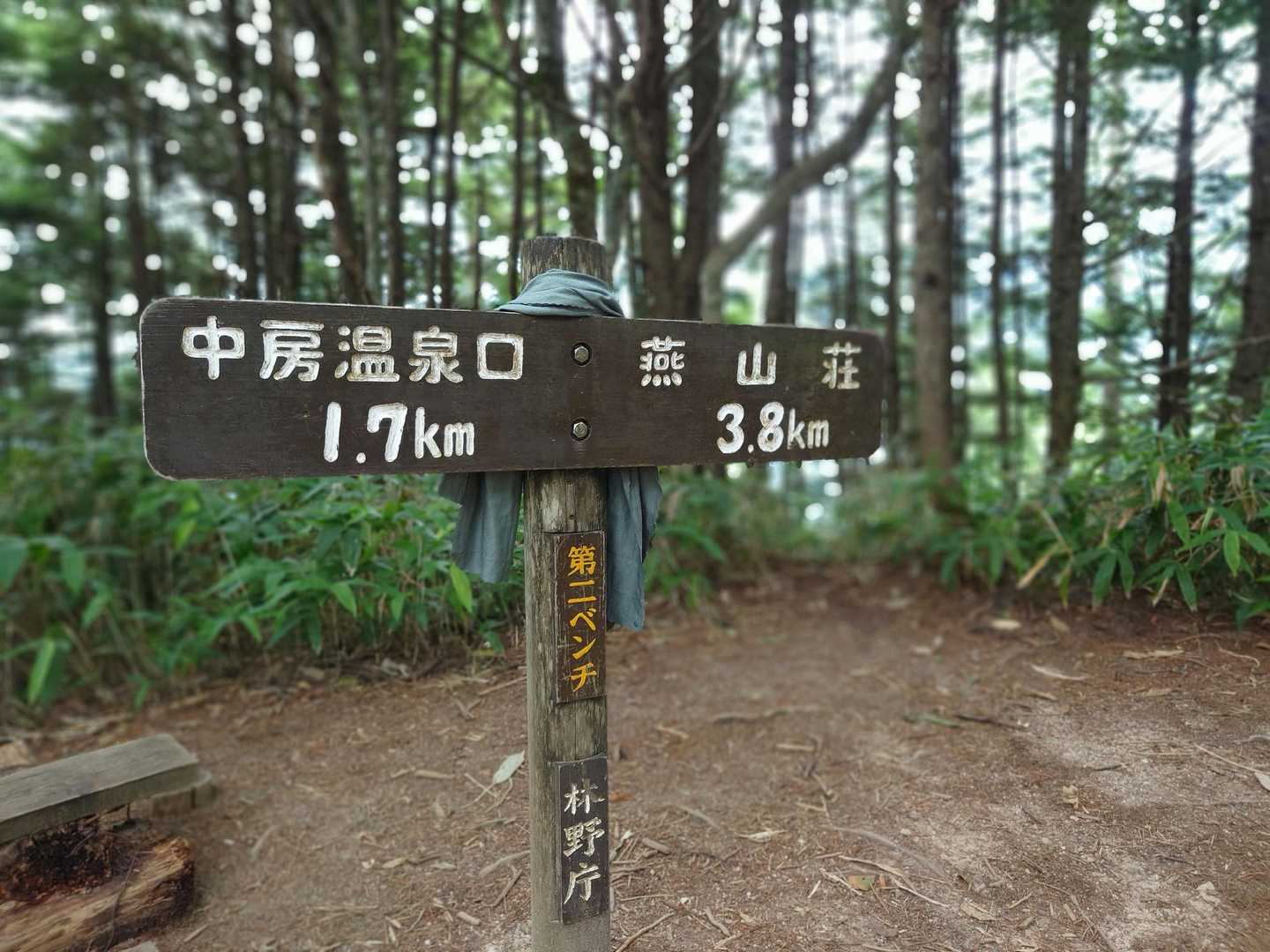 大下りノ頭-合戦沢の頭-富士見ベンチ-第3ベンチ-第2ベン 縦走コースの写真