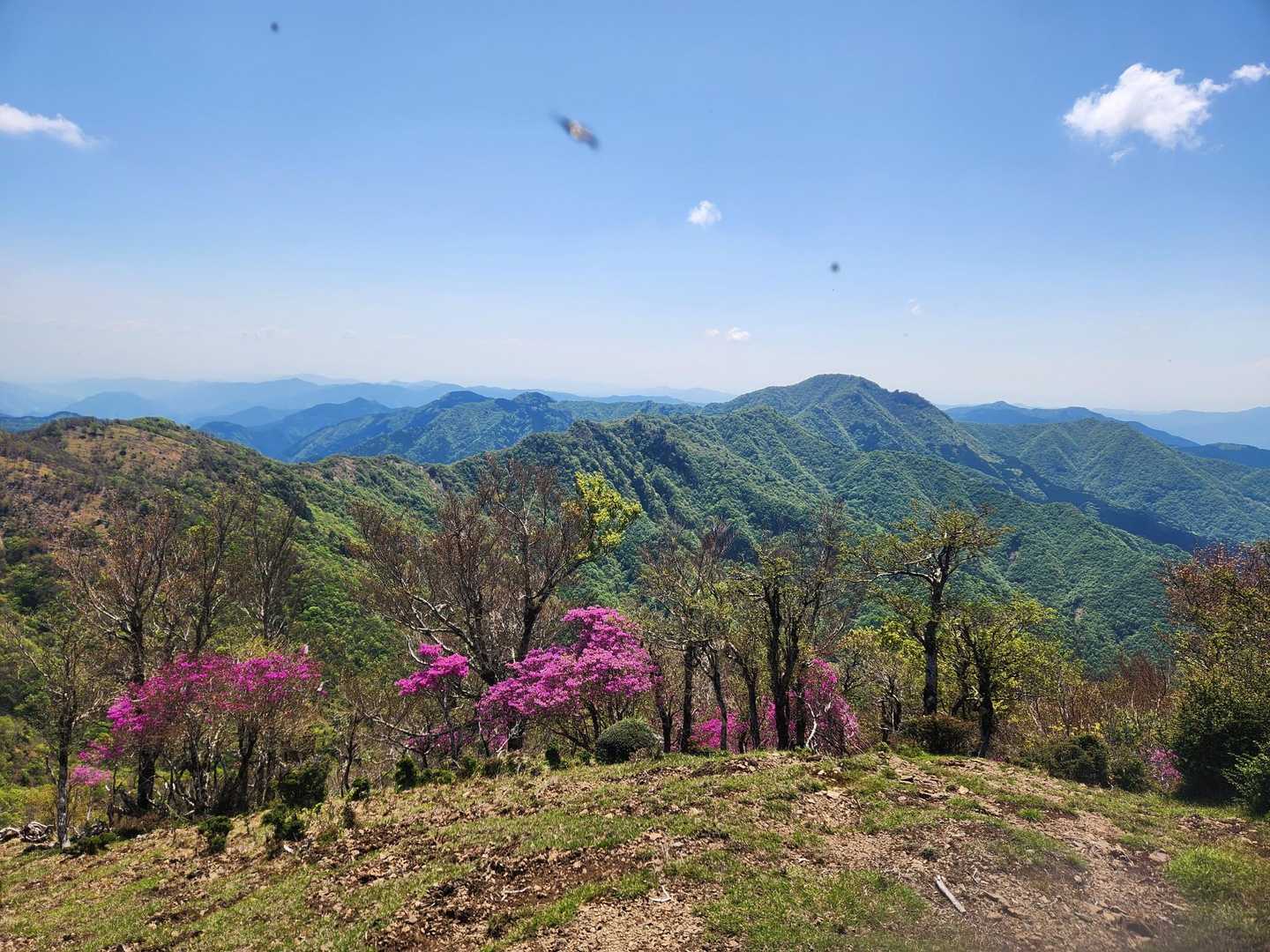 高丸山方面⛰️