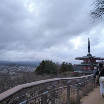 すっかり有名な五重塔。今日は待たずとも写真は撮れるものの、肝心の富士山が見えないのでスルー。