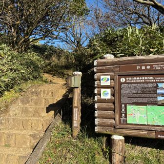 ここから達磨山方面へ