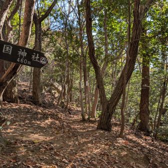 ちょっと〰️急坂
気をつけて〰️（＾ν＾）
