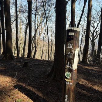 飯盛山登頂⛰️
眺望無し。ひっそりと佇んでます。
今日は時短コースなのでピストンで戻ります。
