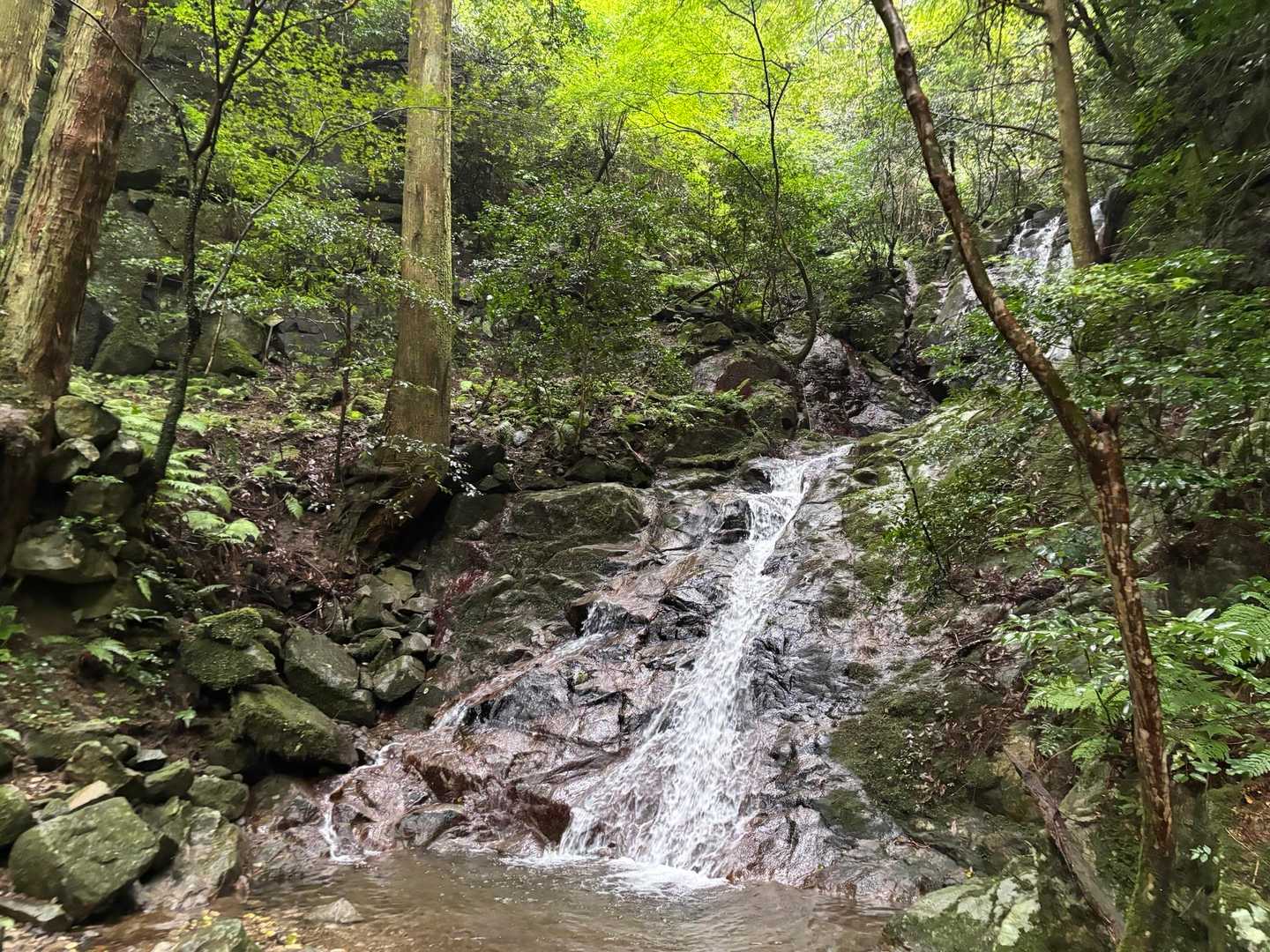 瑞梅寺登山口-井原山-本富士山-富士山-雷山-上宮-洗谷登 周回コースの写真