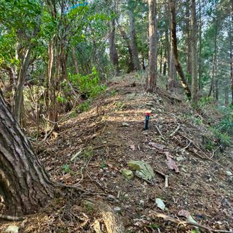 傾斜が落ち着き、