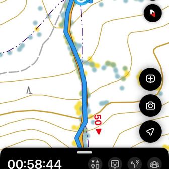 鳥脇山 山頂 写真撮った❔