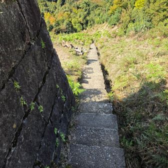 火床の脇にある階段をひたすら下りる