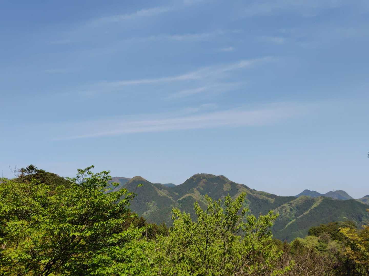 竹寺-豆口峠-子ノ山 往復コースの写真