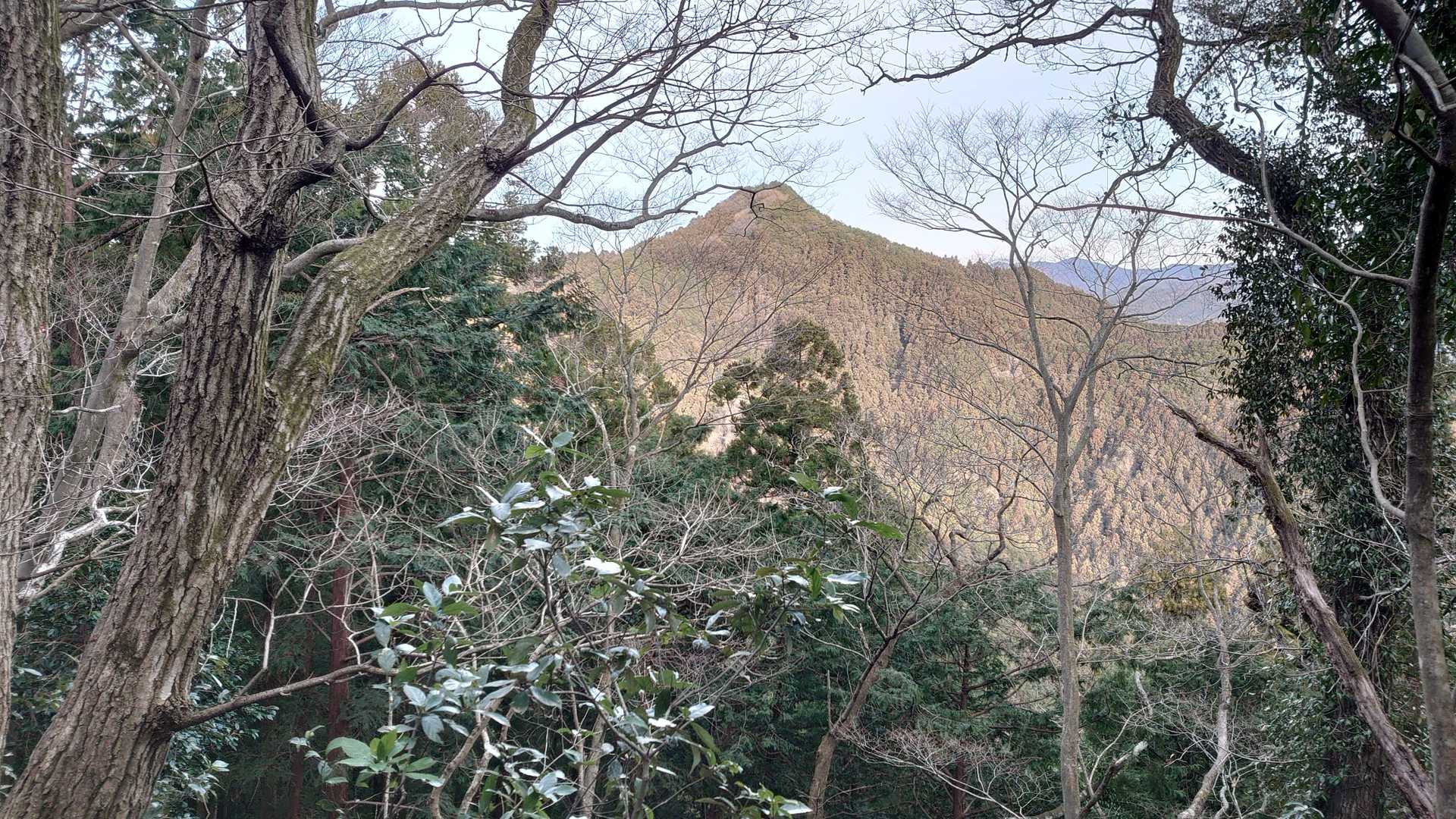 あの山は次に行く大高山かな