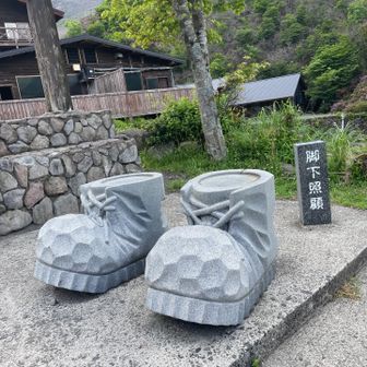 かめ🐢