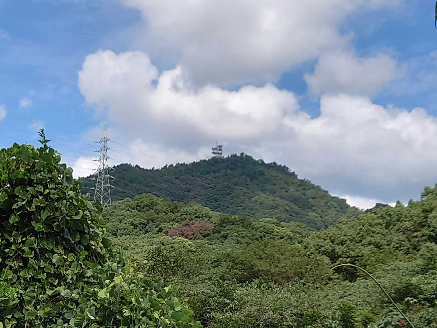 菊水山が見えた!