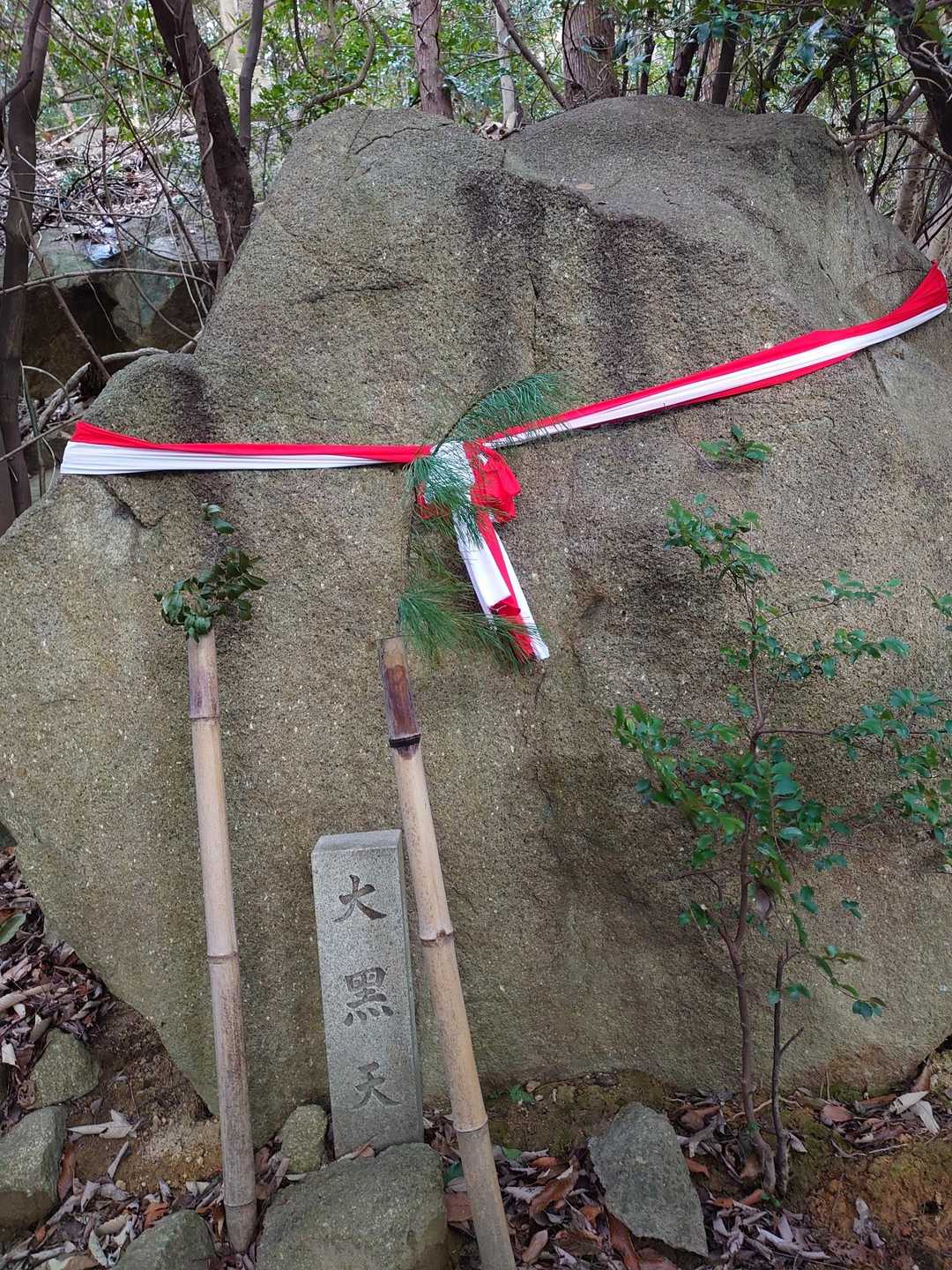 岩戸山 往復コースの写真