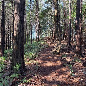 雨山城址に向かいます