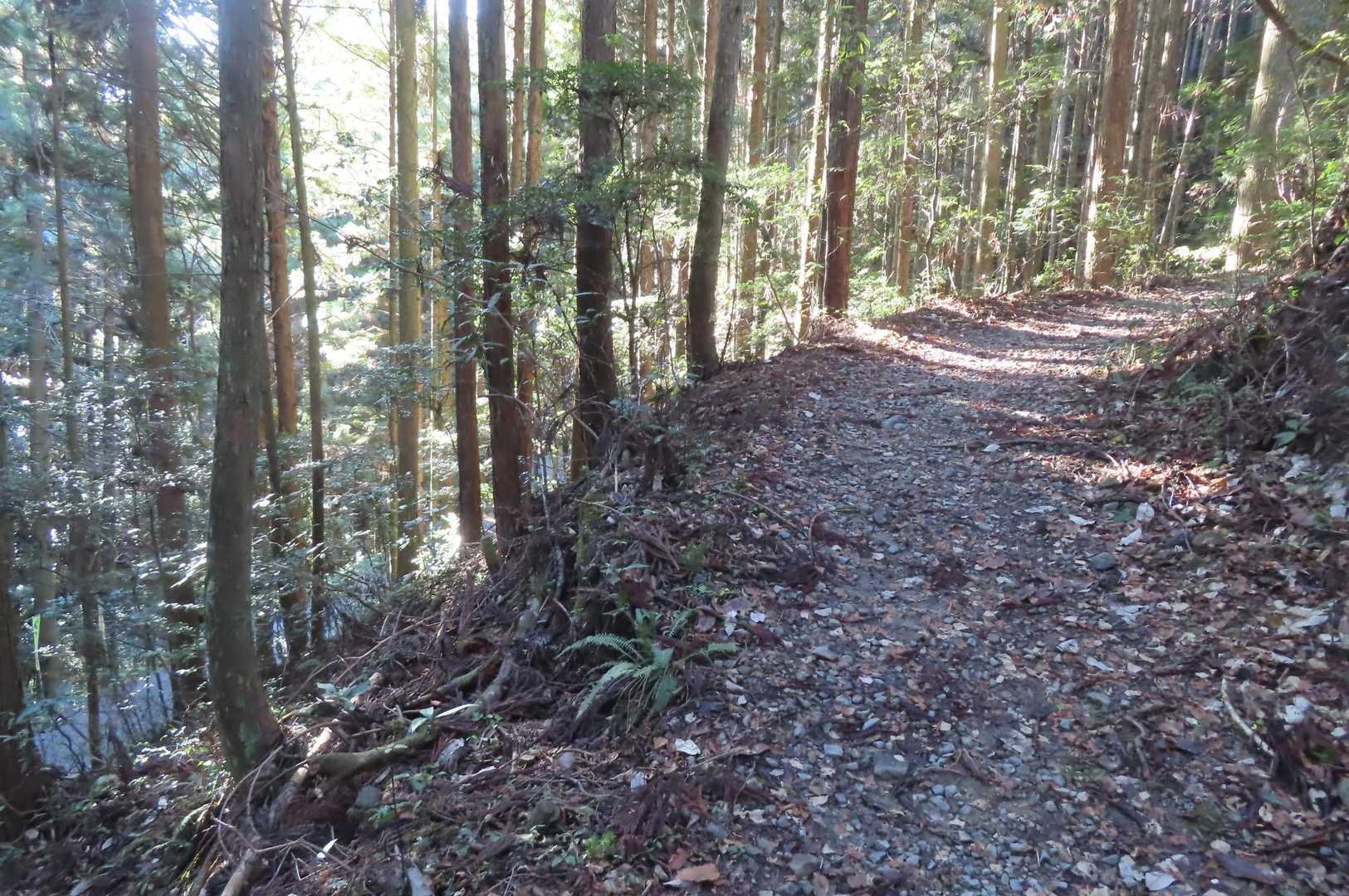 水場まで緩やか上り坂道