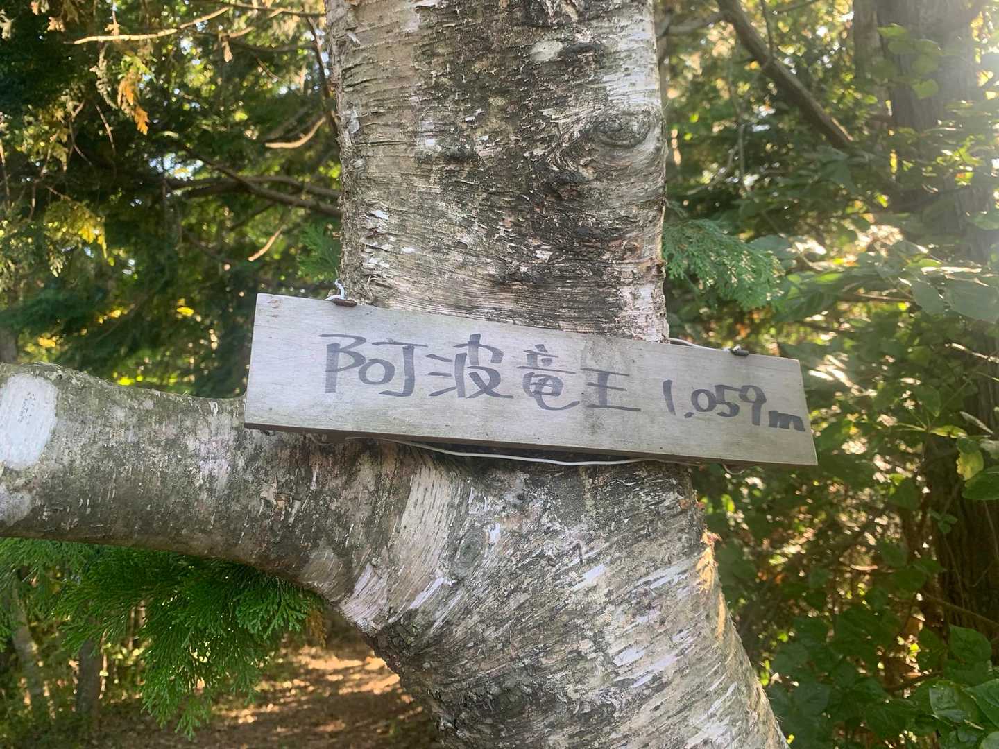 山頂。