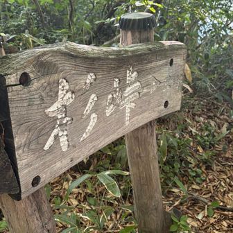 ようやく杉峠
この先も良くない足場、すぐ下は崖の細い道も続き