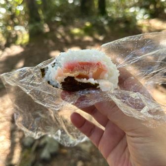 バディの握ってくれた🍙。タラコと梅😆