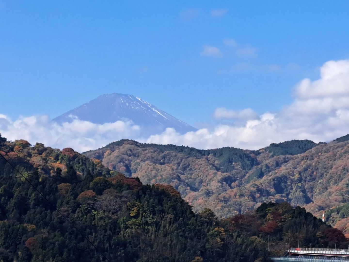谷峨駅-大野山-山北駅 縦走コースの写真