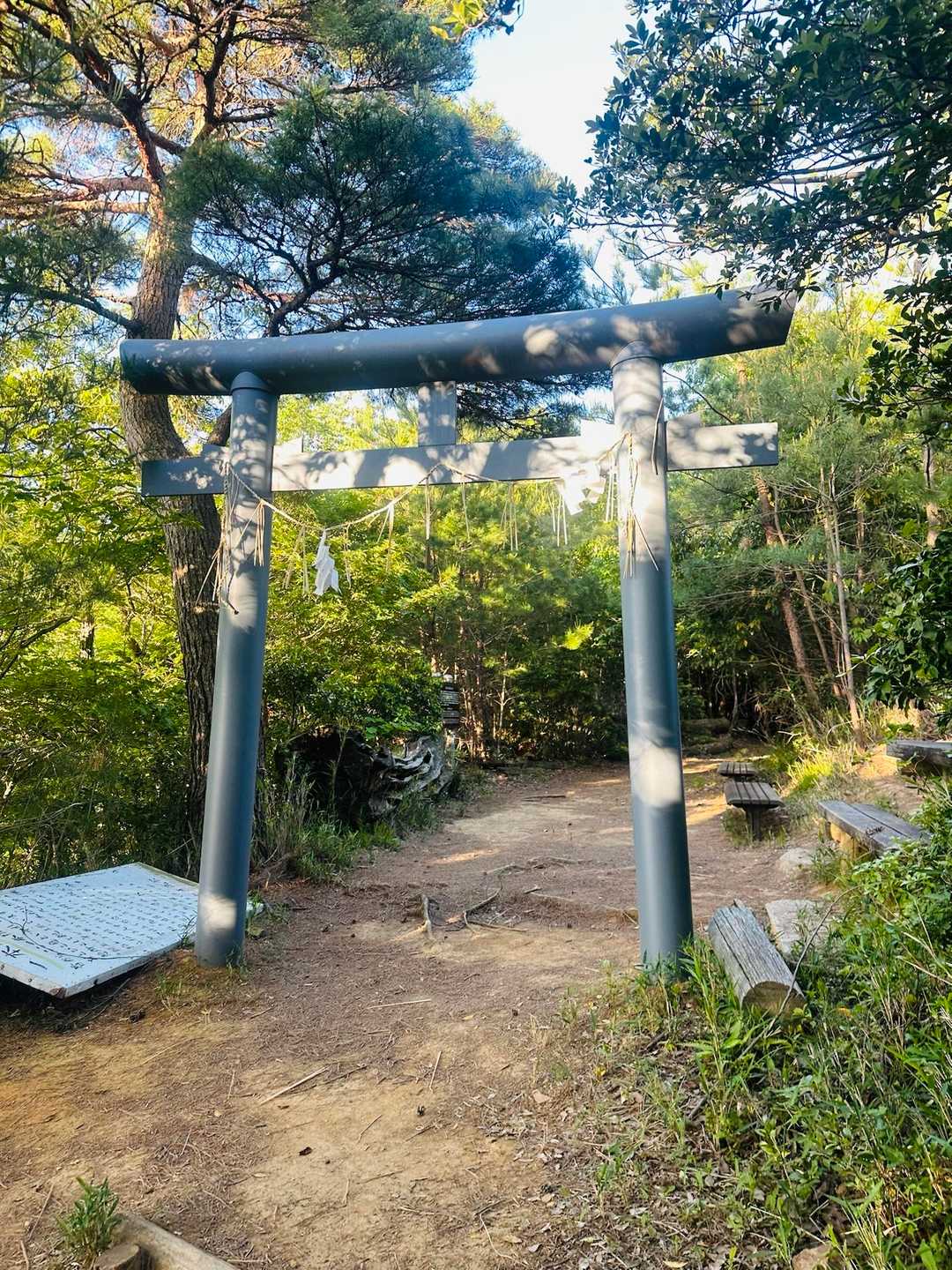 めっちゃゼーハー💦
やっぱり脚が重い🦿