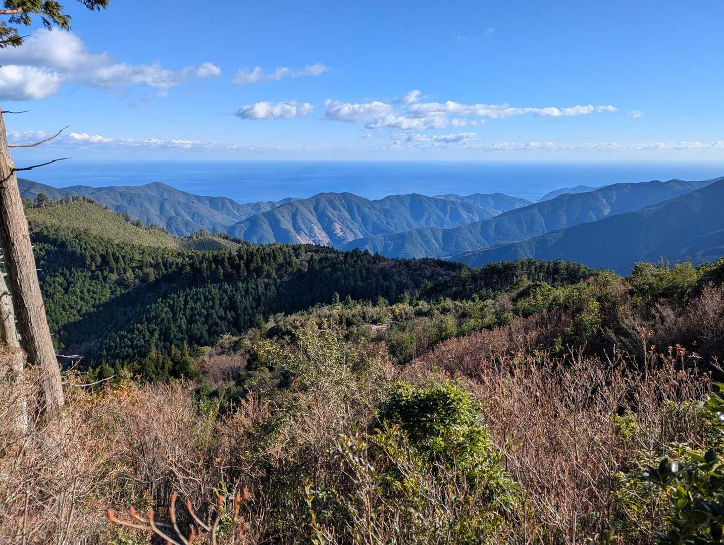 宿屋杉登り口-宿屋杉-熊笹峠-装束山-装束峠-お産杉跡-岩 周回コースの写真