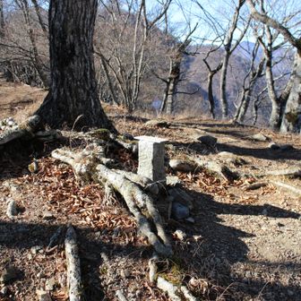 中央の石碑の上にありました。