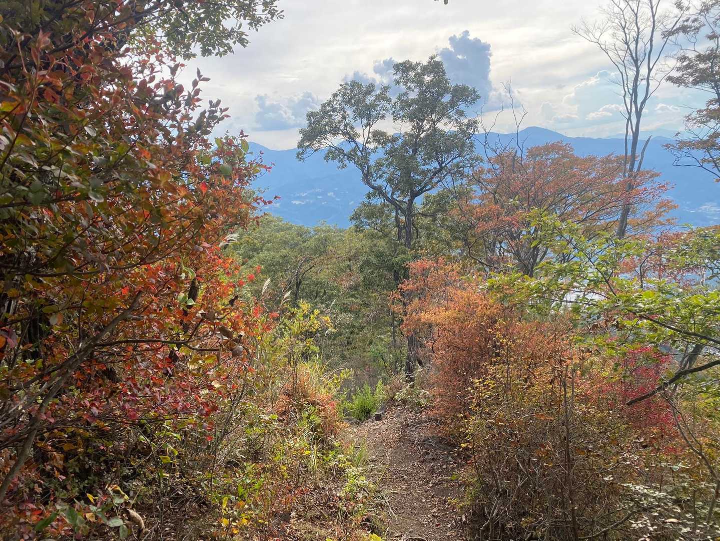 紅葉🍁を見ることが出来て良かったです😊
